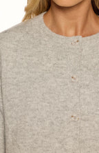 Aurelia Light Grey Short Sleeve Cropped Cardigan